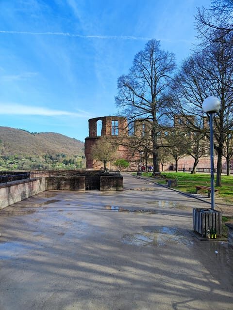 High Lights of Heidelberg - Private Tour of Castle and Town - Authentic Experiences and Real Feedback
