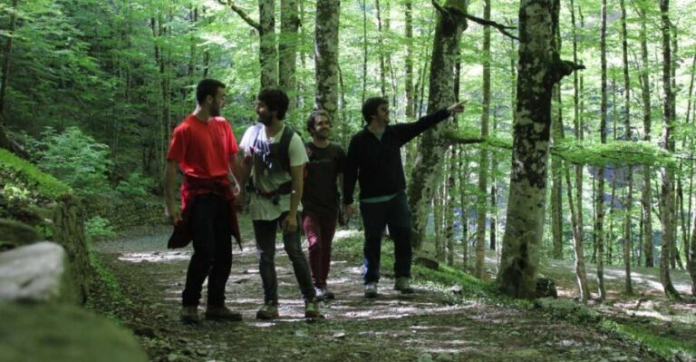 Hike from San Sebastian to San Pedro across St James Way - A Detailed Look at the Hike from San Sebastián to San Pedro