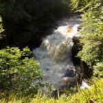 Hike World Heritage Reserve Waterfalls - FAQ