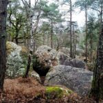 Hiking Adventure in the Fontainebleau Forest - Frequently Asked Questions (FAQs)