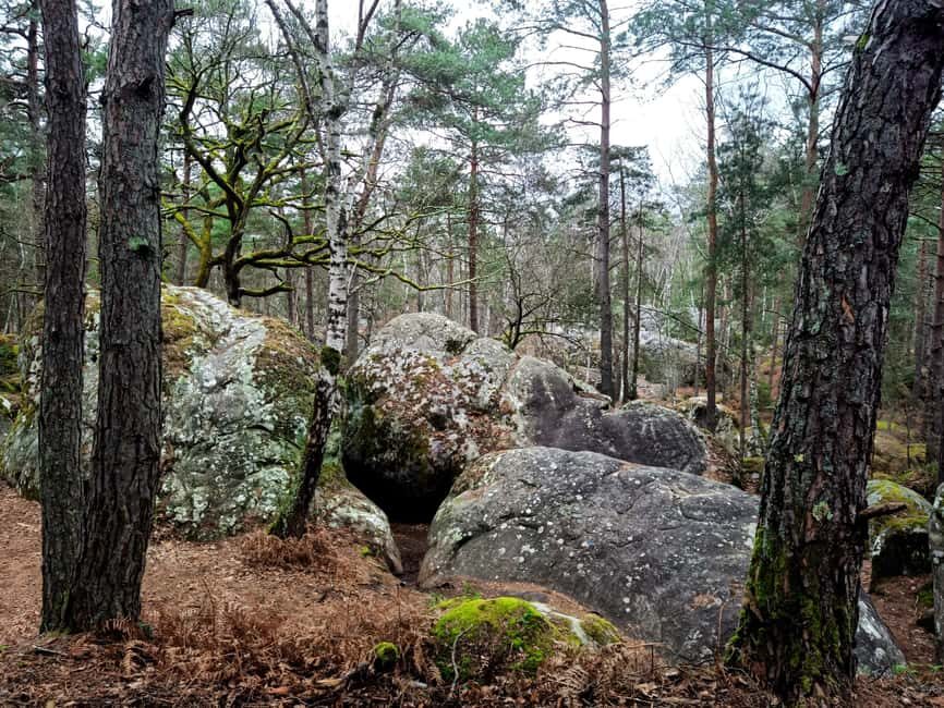 Hiking Adventure in the Fontainebleau Forest - Frequently Asked Questions (FAQs)