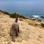 HIKING around Lisbon: Jurassic Dinosaur Trails of Espichel - What This Tour Means for Different Travelers