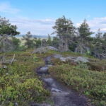 Hiking in Riisitunturi National Park - Final Thoughts