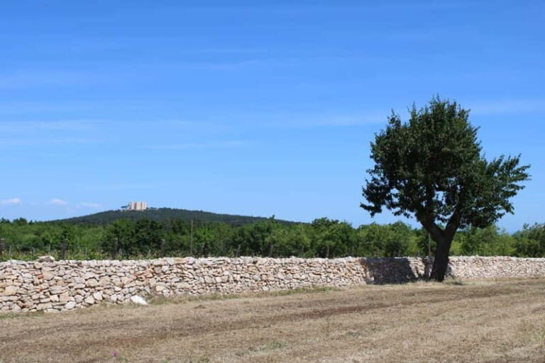Hiking in the Murgia of Castel del Monte - A Deep Dive into the Experience