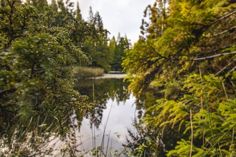 Hiking Trails - The Authentic Value of This Tour