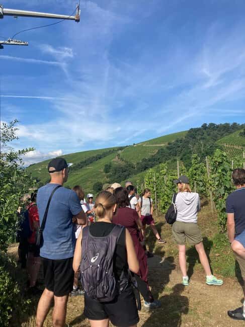 Hiking & Wine between Côte-Rôtie and Condrieu - Summary
