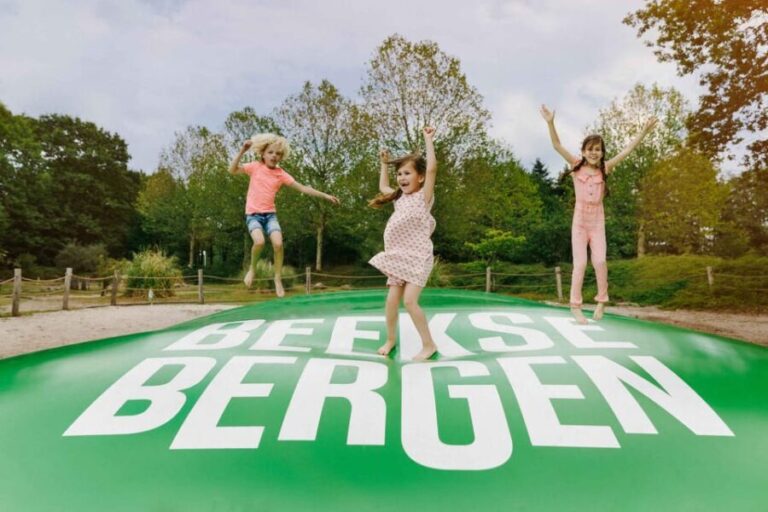 Hilvarenbeek: Speelland Beekse Bergen Entrance Ticket - Who Is This Experience Best Suited For?