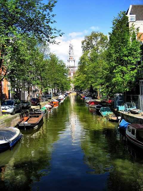 Historic Amsterdam 2-Hour Private Tour with Local Guide - The Practical Side
