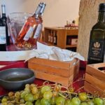 Historic centre & Wine tasting - What Makes This Tour Stand Out?