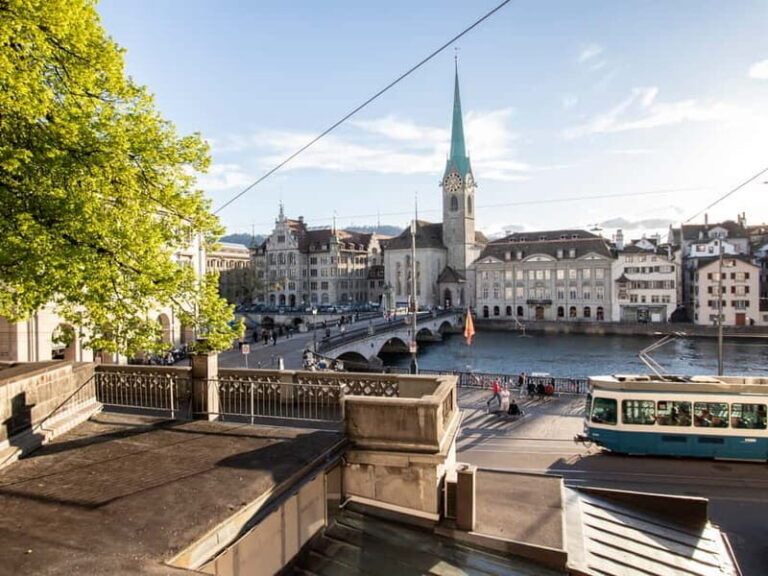 Historic Zurich: Private Tour with a Certified Guide - Who Would Love This Tour