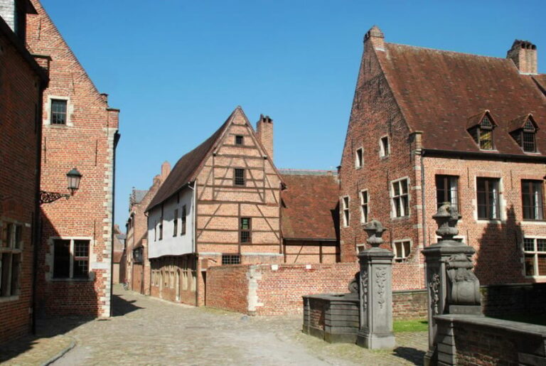 Historical Leuven: Private Tour with Local Guide - What’s Included & What’s Not