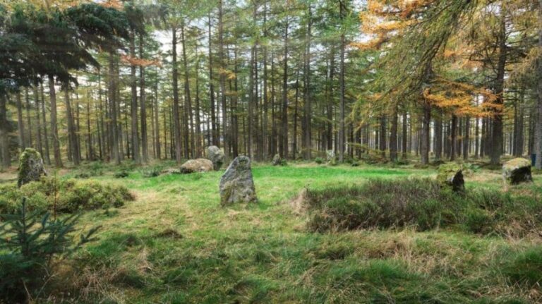 History and Nature: Full-Day Private Tour from Aberdeen - The Itinerary in Detail