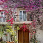 History and Relaxation in Ibiza: Dalt Vila, Cala Bassa, and Can Soleil - A Closer Look at the Itinerary and Highlights