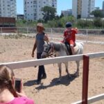 Horse, Camel, and Donkey Riding Experience at the Farm in the Antalya Region - Detailed Breakdown of the Itinerary