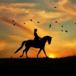 Horse Riding in Cappadocia - Authenticity and Review Insights