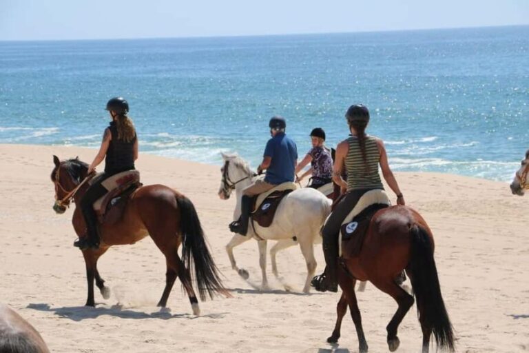 Horse riding in the Valley, near Lisbon, brunch and winnery - Practical Details and Value