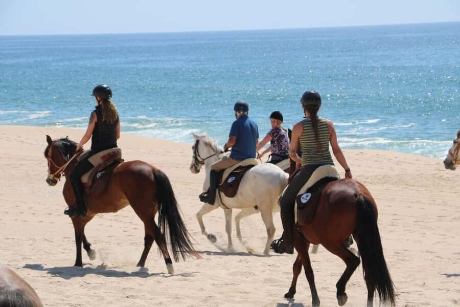Horse riding in the Valley, near Lisbon, brunch and winnery - Practical Details and Value