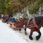 Horse Sleigh 2-3h Ride with Hot Springs or Zakopane Combos - The Value and Who Should Consider This Tour
