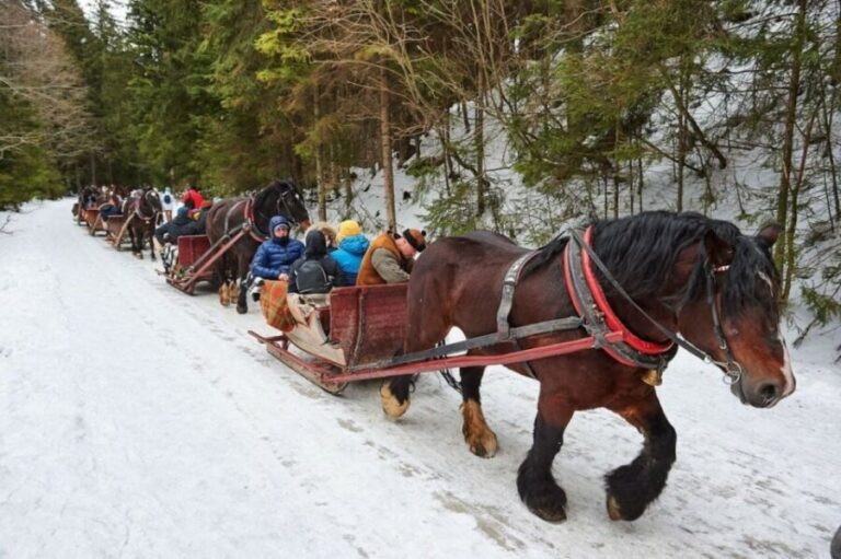 Horse Sleigh 2-3h Ride with Hot Springs or Zakopane Combos - The Value and Who Should Consider This Tour