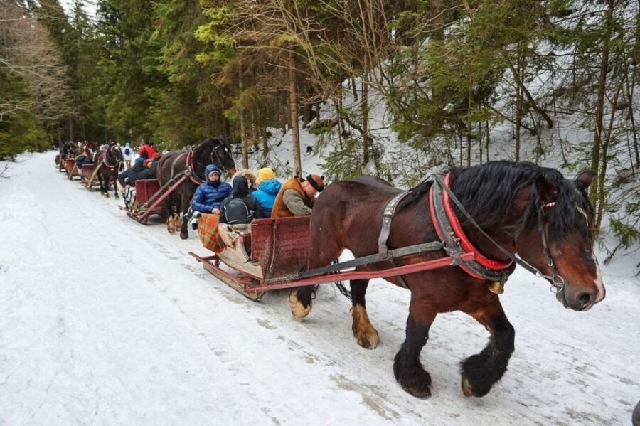 Horse Sleigh 2-3h Ride with Hot Springs or Zakopane Combos - The Value and Who Should Consider This Tour