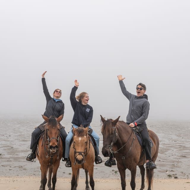 Horseback Riding Trough The Beach GROUP - PDT - Why You’ll Love This Experience