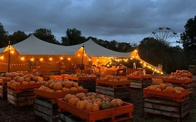 Hounslow: Pumpkin Patch Plus Entry to Hobbledown Heath - A Deep Dive into the Experience