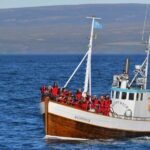 Húsavík: Family-Run and Guided Whale Watching Tour - What’s Not Included