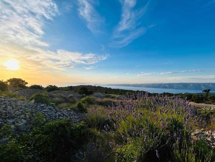 Hvar: Hidden Gems Tour - The Practicalities