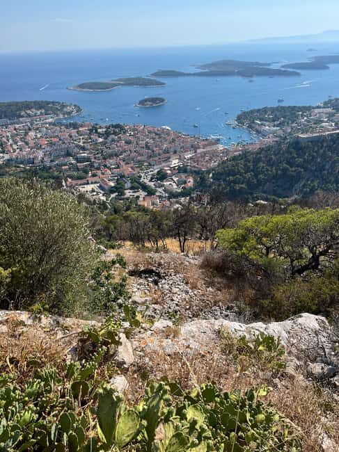 Hvar: Hvar Wine Tasting Experience - Guides Who Make the Difference