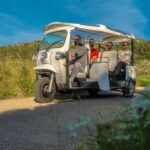 Hvar Island: eTuk Tuk Adventure Tour with a Guide - What’s Included and What’s Not