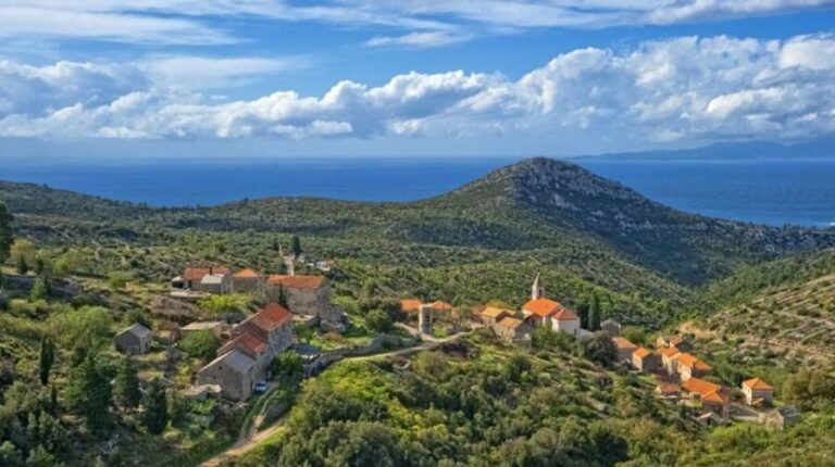 Hvar: Island tour with Wine and Olive Oil Tasting - Transportation and Group Size