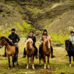 Hveragerdi: Reykjadalur (Hotspring Valley) Horse Riding Tour - The Value of This Horse Riding Tour