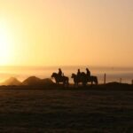 Hveragerdi: The Siggi Horse Riding Tour - Authentic Reviews and What They Tell Us