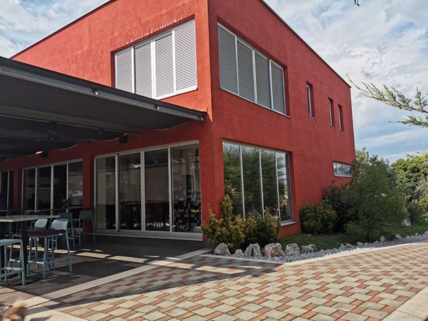 ian: Organic Winery Tour and Tasting Experience - Who Will Love This Experience?