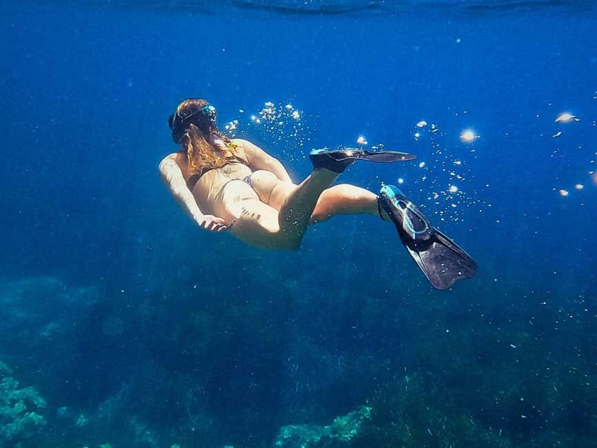 Ibiza: Guided Snorkeling Trip - Final Thoughts