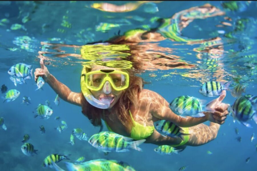 Ibiza: Private Beach and Cave Speedboat Tour - Who Will Love This Tour?