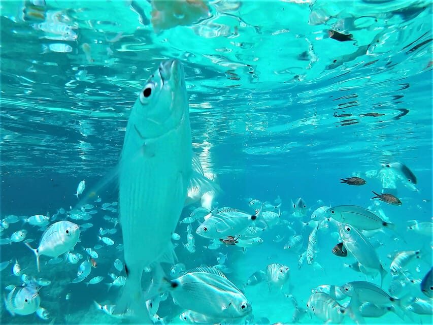 Ibiza: Snorkeling and SUP Paddle, Beach and Cave Tour - First Stop: Cala Bassa