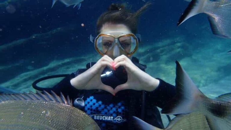 Icmeler: Scuba Diving with a Qualified Instructor - What to Expect from the Itinerary