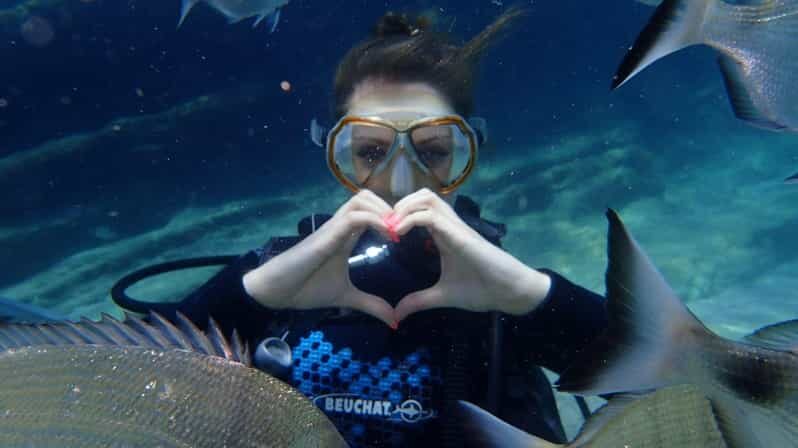 Icmeler: Scuba Diving with a Qualified Instructor - What to Expect from the Itinerary