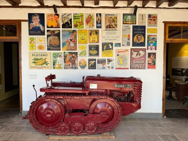 Icod de los Vinos: Casa del Plátano Entry Ticket - Exploring the Plantation