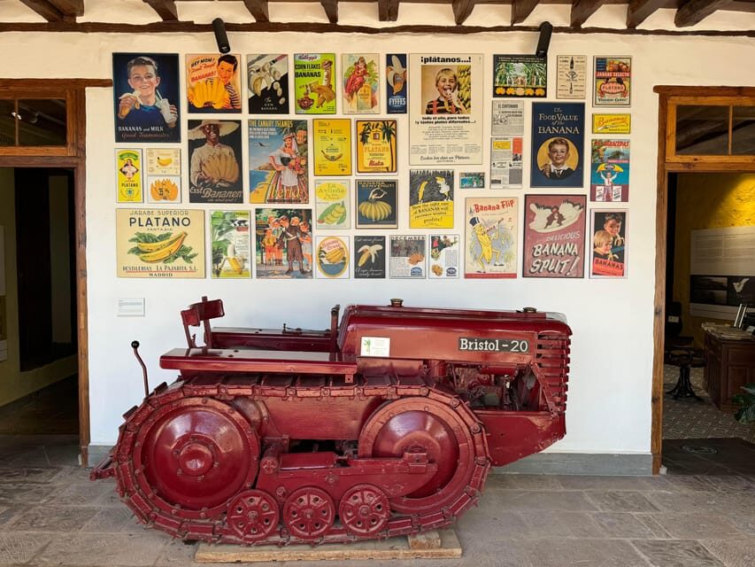 Icod de los Vinos: Casa del Plátano Entry Ticket - Exploring the Plantation