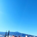 Icod de los Vinos: Walking route 1h30 - What’s Included and What’s Not