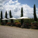 Il Molino di Grace: Vineyard & Cellar Tour with Wine Tasting - Final Thoughts