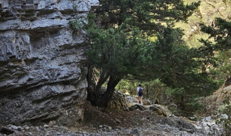 Imbros Gorge: Walk the Trail, Live the Story Private Tour - Practical Details and Considerations