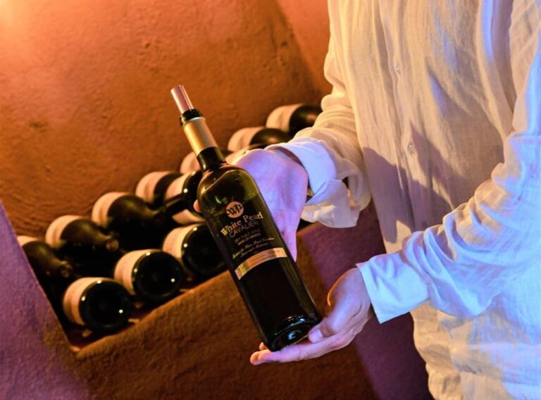 Imerovigli: Premium Wine Tasting with Caldera and Sea Views - Who Will Love This Tour?