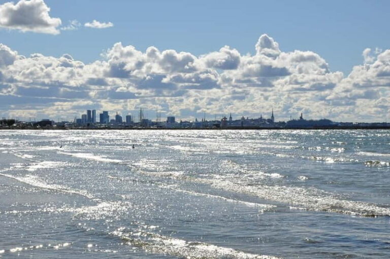 Individual excursion in Tallinn - What Travelers Can Expect: The Practical Details