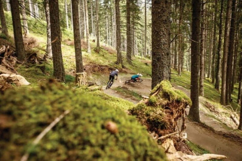 Innsbruck: Downhill Guiding - Bike Park Innsbruck - Who Is This Tour Best For?