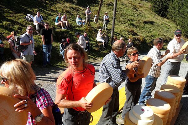 Interlaken & Jungfrau: Custom-Tailored Tour with Local Guide - The Sum Up