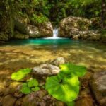 Ioannina: Tzoumerka Sightseeing Tour - Who Is This Tour Best For?