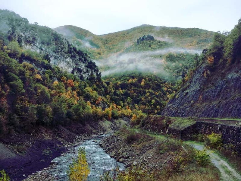 Irati Forest and Ochagavía Excursion - Exploring Ochagavía: A Village of Charm